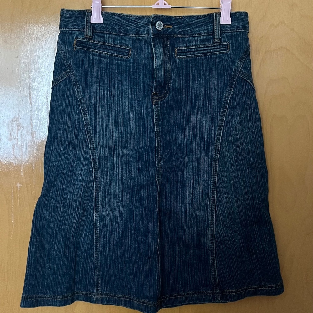 Brandy Melville Charlotte Denim Midi Skirt